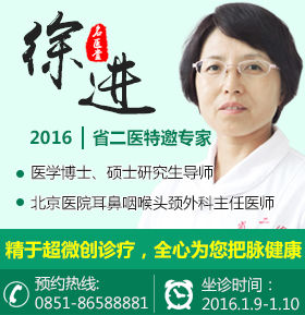 贵州省第二人民医院特邀北京医院耳鼻喉科主任徐进来院亲诊-武汉环亚